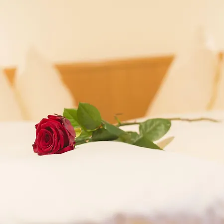 Tobhartbauer Appartement