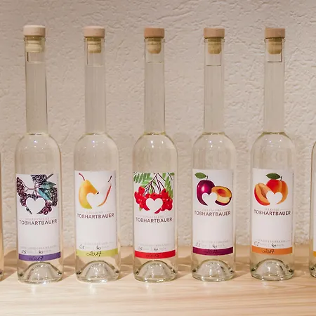 Tobhartbauer Apartament