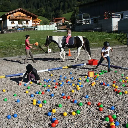 Tobhartbauer * Dorfgastein