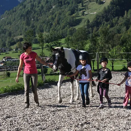 Tobhartbauer Appartement *