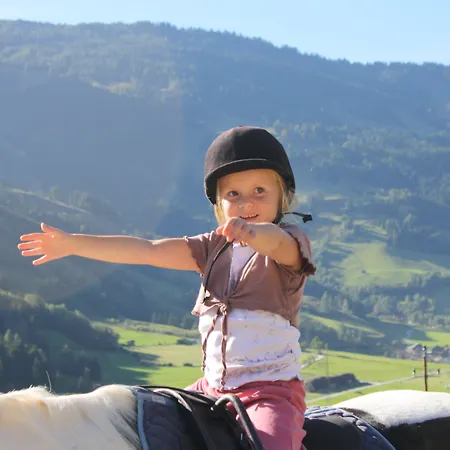 Tobhartbauer Dorfgastein